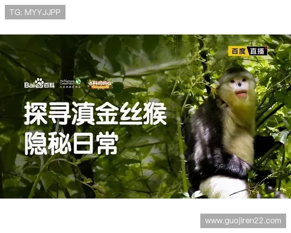 百度百科直播平台词条详细介绍与功能解析